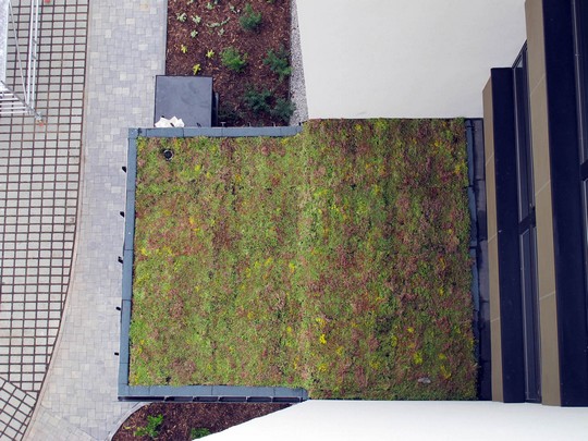 Zelená střecha systémem Urbanscape v Ecocity Malešice